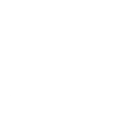 Card Logo